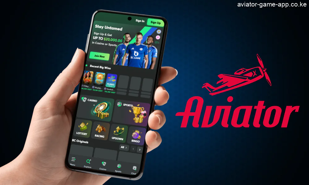 Go to the website of the chosen casino